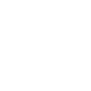 Sewer Icon 1