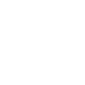 Sewer Icon 2